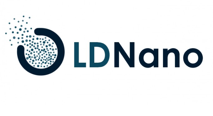 Laboratory for the Development of Nanostructured Systems (LDNano) logo