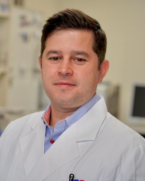 Fábio Pittella Silva, PhD